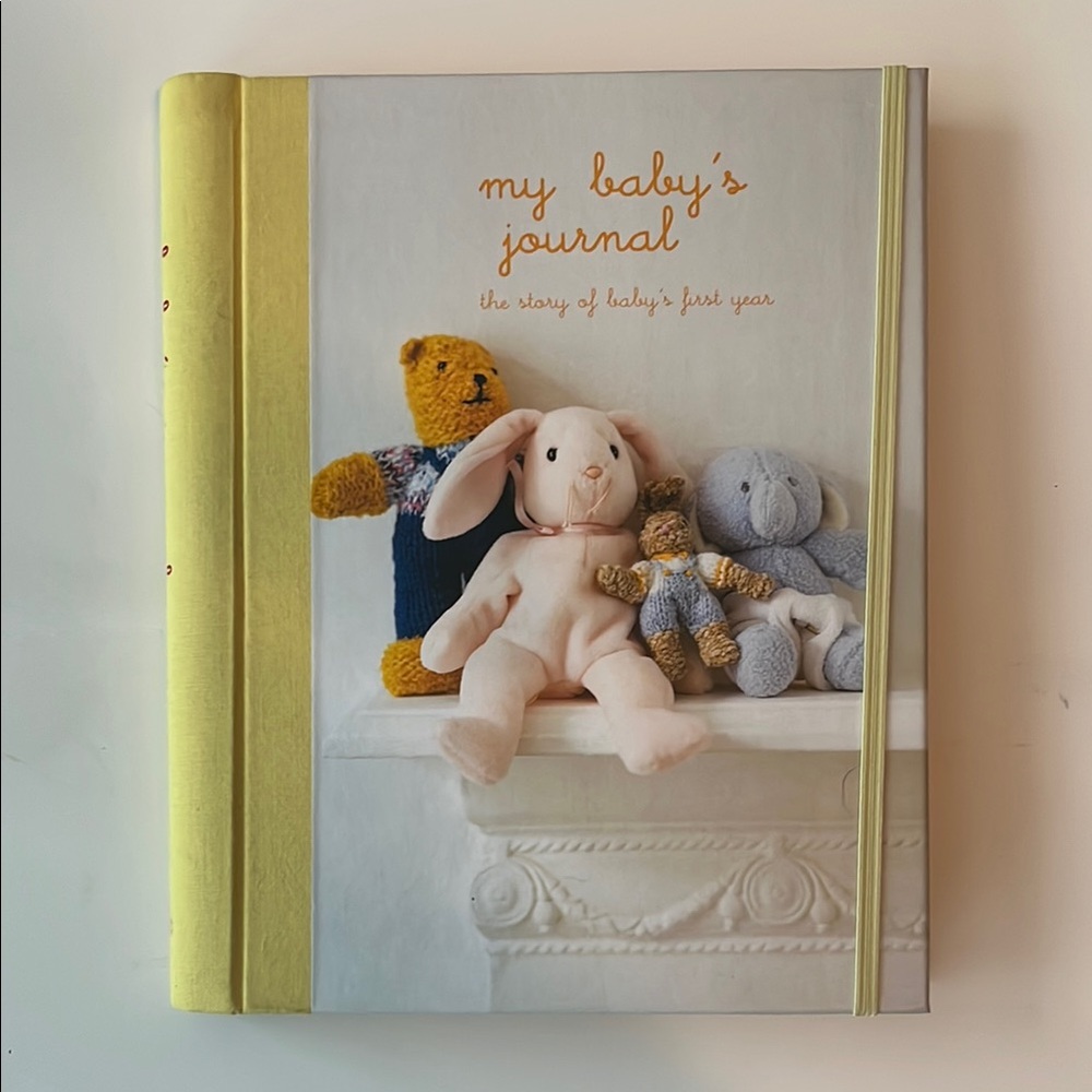 My Baby's Journal:  The Story of Baby’s First Year